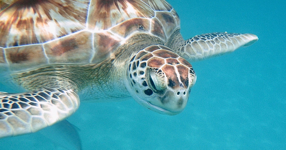 Barbados